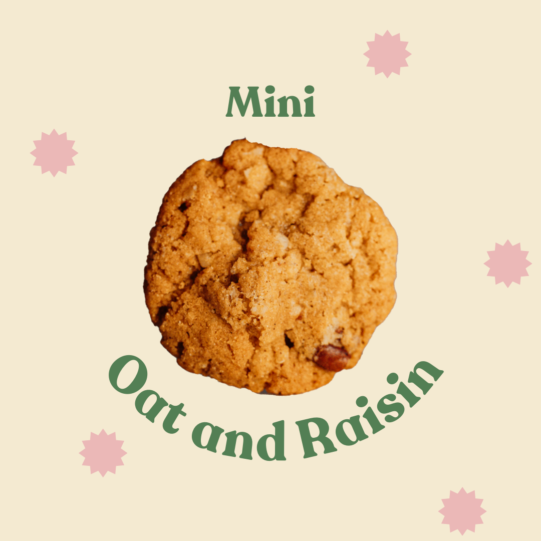 Oat and Raisin Mini Cookies Bag