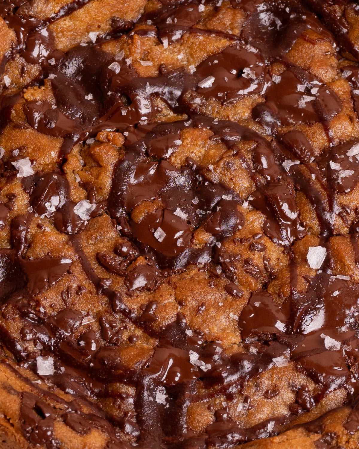 Giant Ultimate Chocolate Chip Cookie - Alex Fine x TASCC